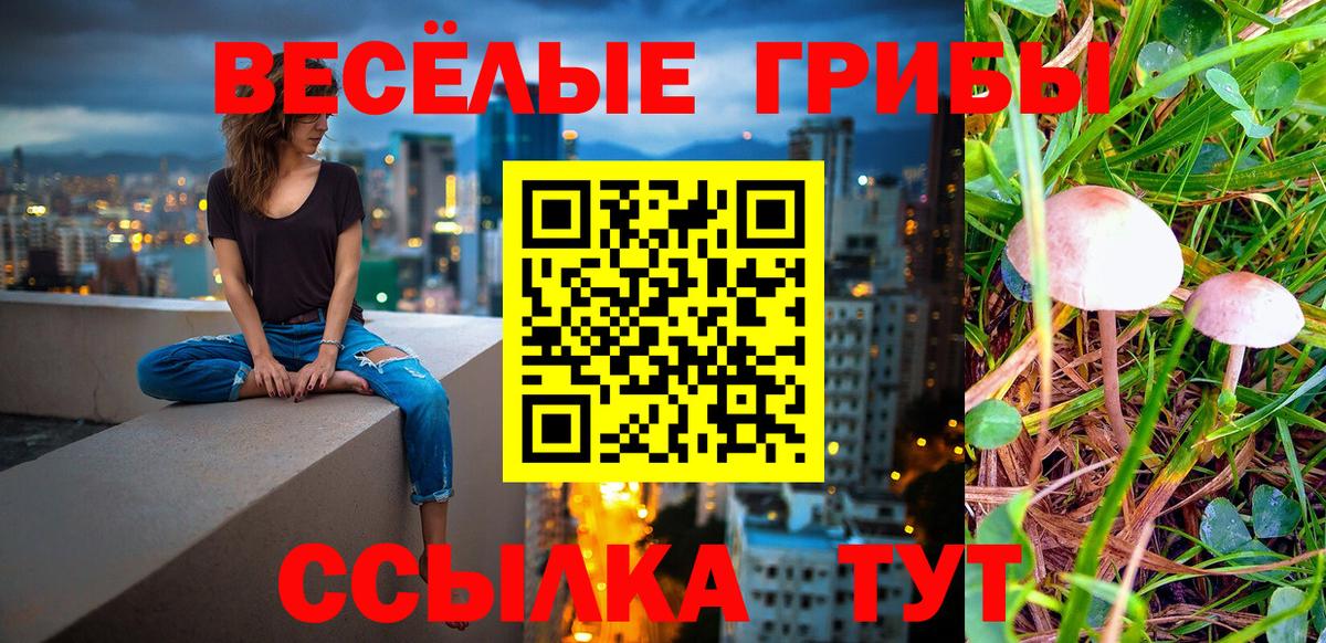 Галлюциногенные грибы ЛСД  Вход с VPN  Соликамск  купить наркотики сайты  Галлюциногенные грибы мухоморы 