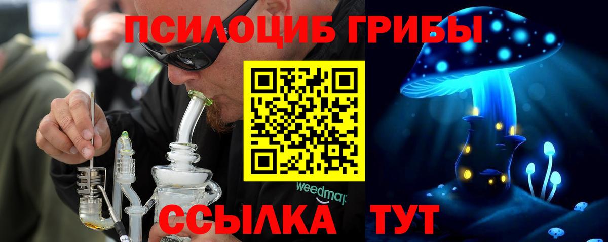 Псилоцибиновые грибы Psilocybe Соликамск
